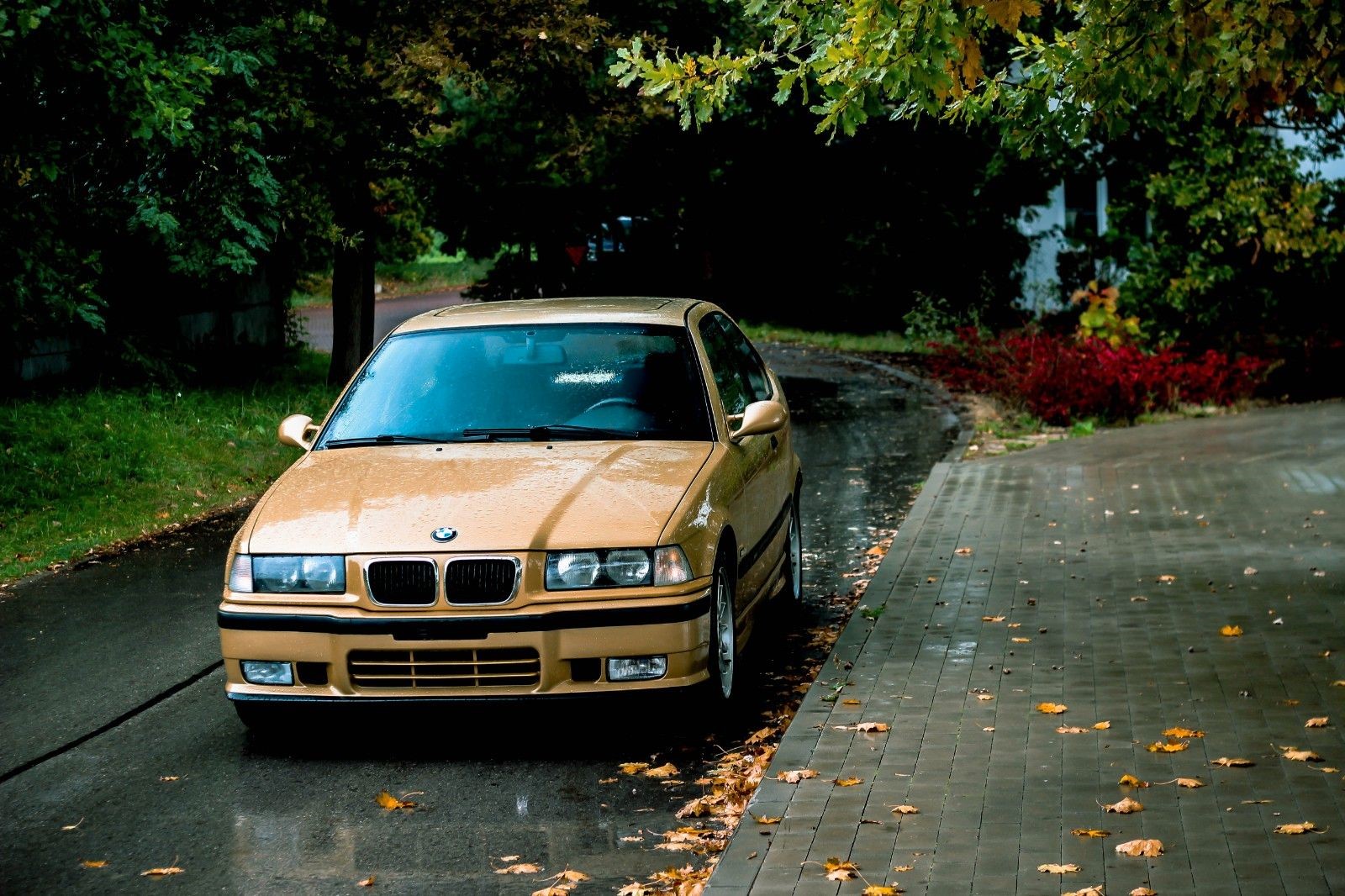 Market Find: BMW Individual Bronzit Metallic 323ti Sport Edition