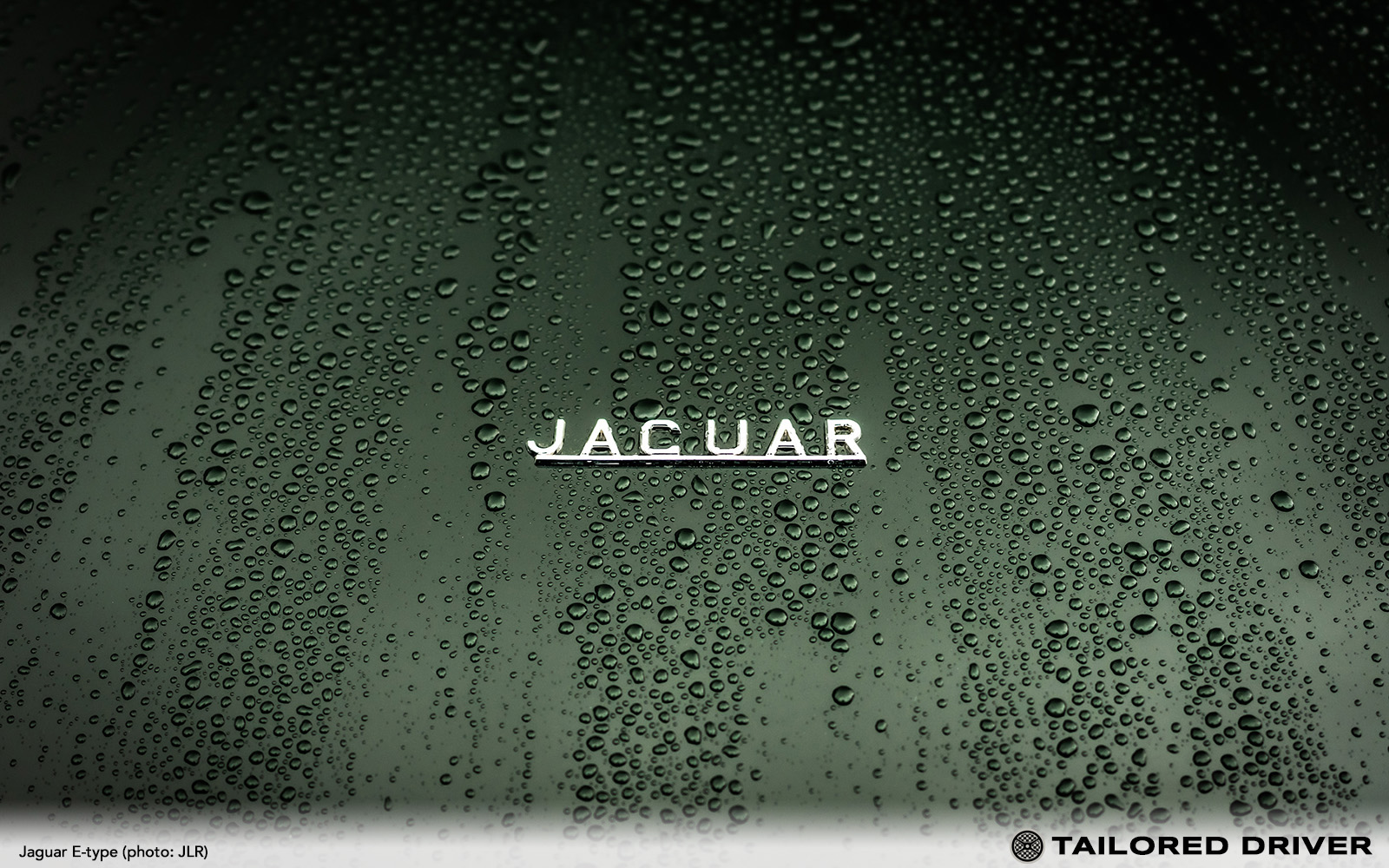 Color Chart: 1969 Jaguar Standard Colors and Trim